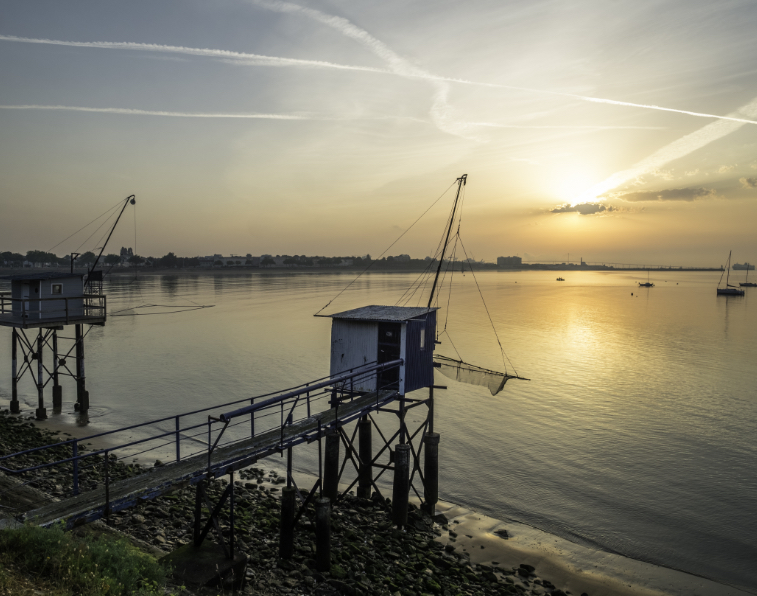 automne-le-trait-residence-saint-nazaire-01
